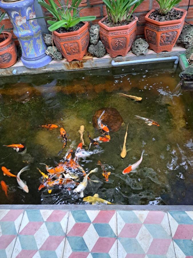 Hoa Lan Motel & Homestay Giong Tu Dien エクステリア 写真